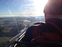 Silversterfliegen thumb