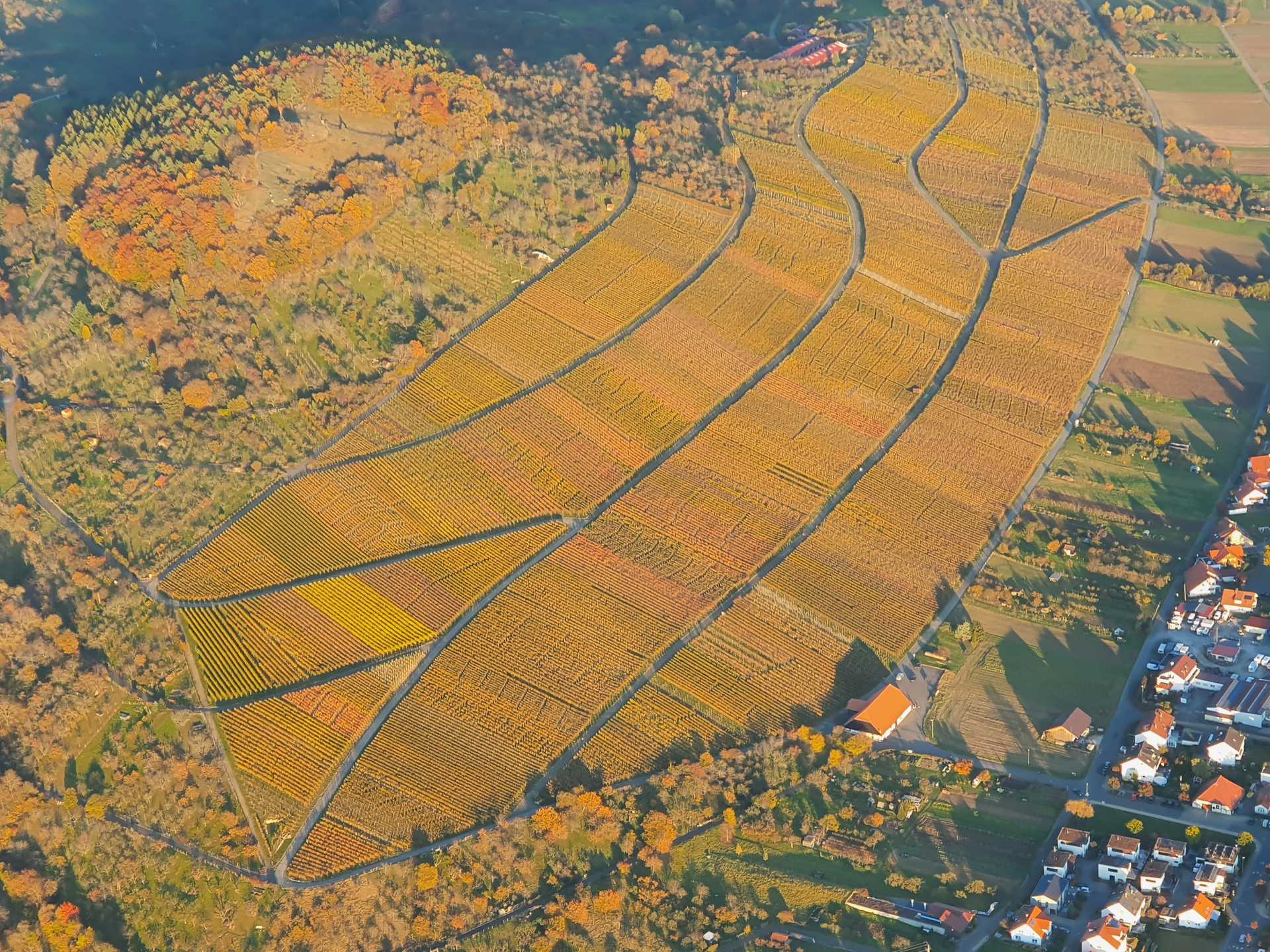 04 Herbstimpressionen 2021